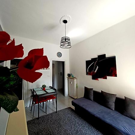 Intero Appartamento Luminoso E Accogliente ! Torino Eksteriør billede