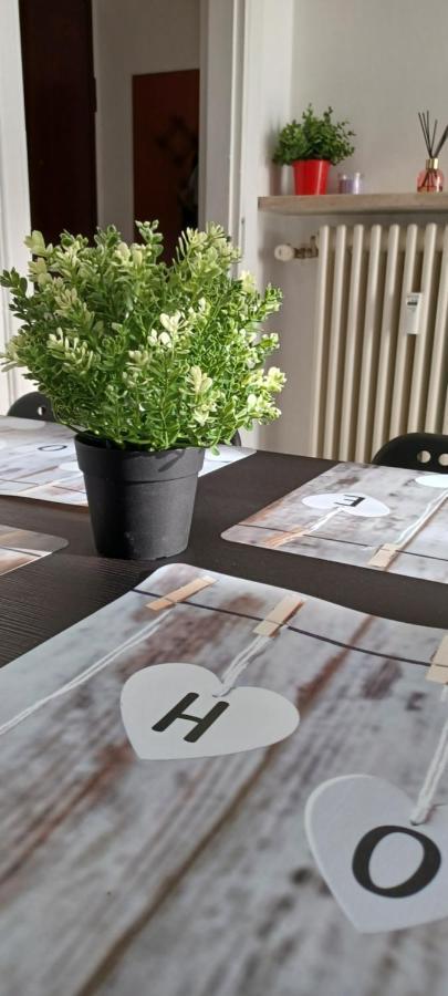 Intero Appartamento Luminoso E Accogliente ! Torino Eksteriør billede